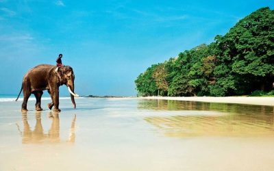 india_1
